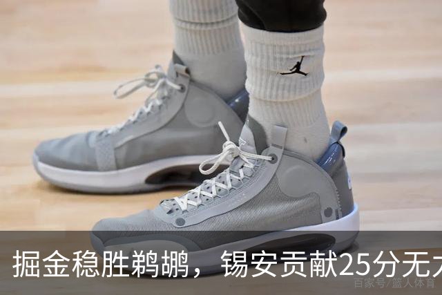 掘金稳胜鹈鹕，锡安贡献25分无力回天