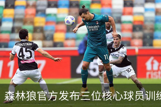 森林狼官方发布三位核心球员训练照片，展现新赛季备战状态
